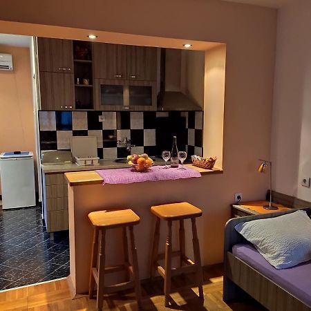Apartman Ristic Niska Banja Exteriér fotografie