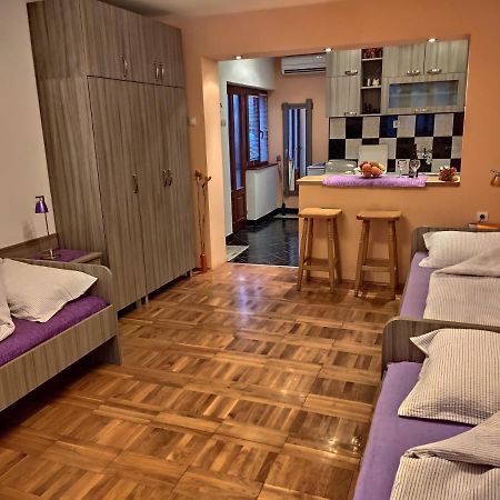 Apartman Ristic Niska Banja Exteriér fotografie