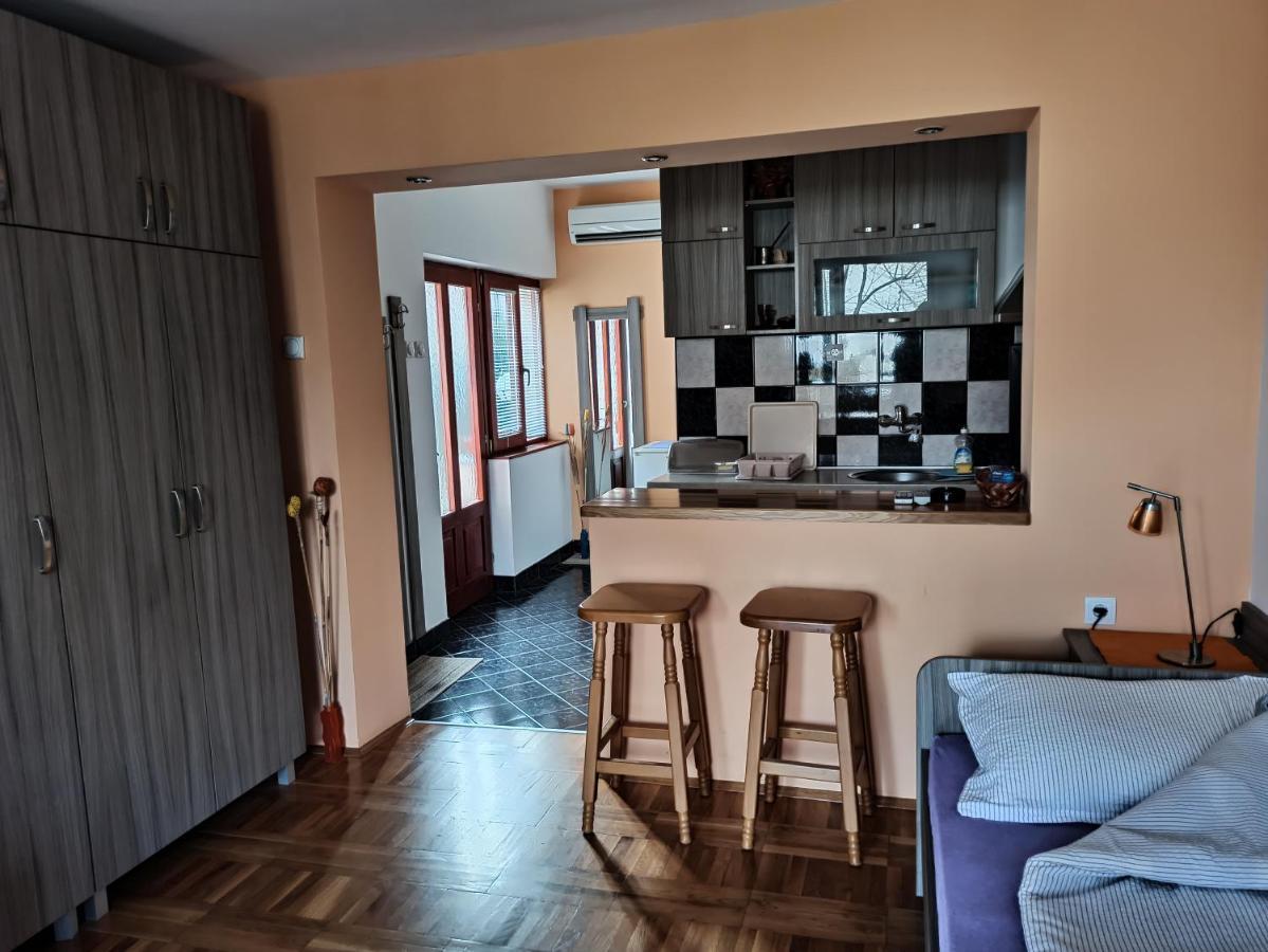 Apartman Ristic Niska Banja Exteriér fotografie