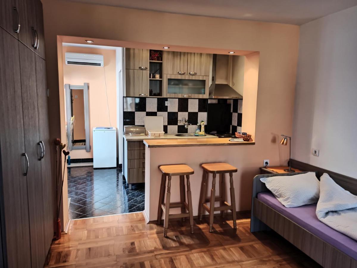 Apartman Ristic Niska Banja Exteriér fotografie