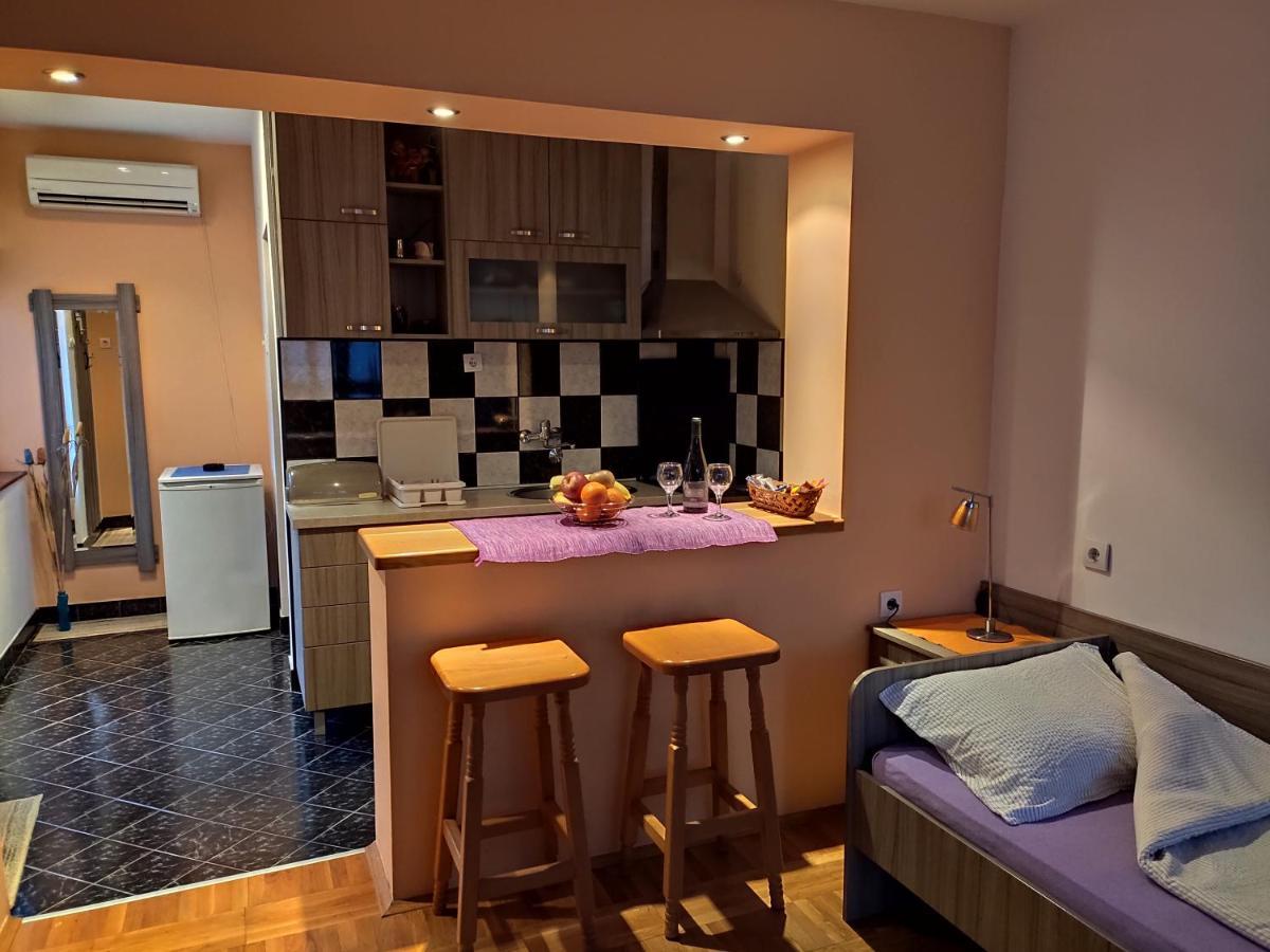 Apartman Ristic Niska Banja Exteriér fotografie