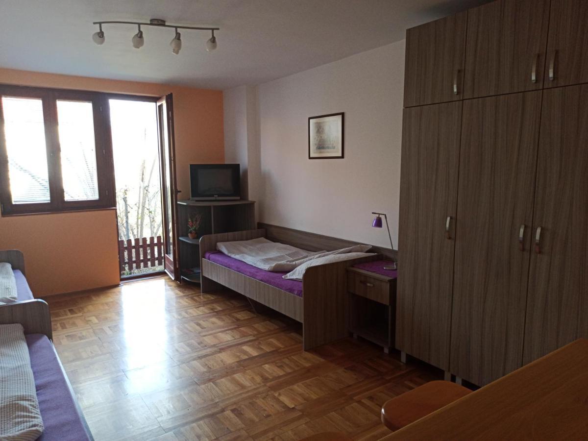 Apartman Ristic Niska Banja Exteriér fotografie