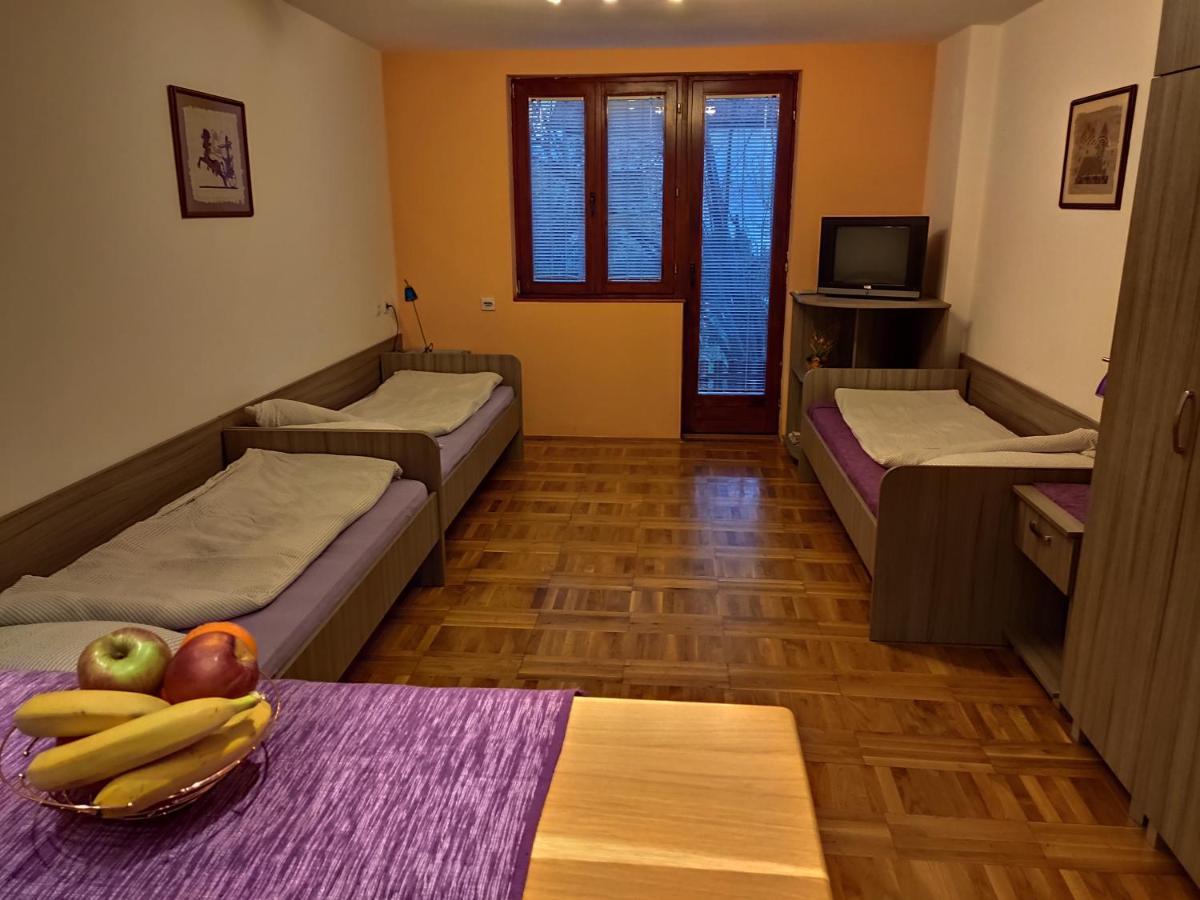 Apartman Ristic Niska Banja Exteriér fotografie
